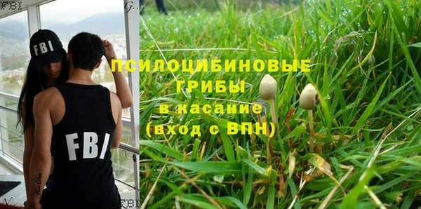 индика Алексеевка