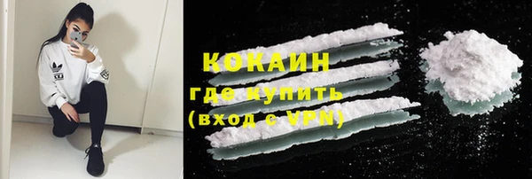 индика Алексеевка