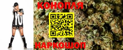 прущие крисы Кунгур
