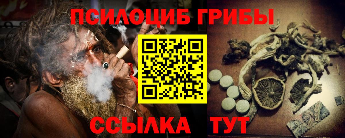 Нефтекамск  Псилоцибиновые грибы Psilocybine cubensis  купить закладку  Вход с VPN 